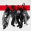 THE ORAL CIGARETTES